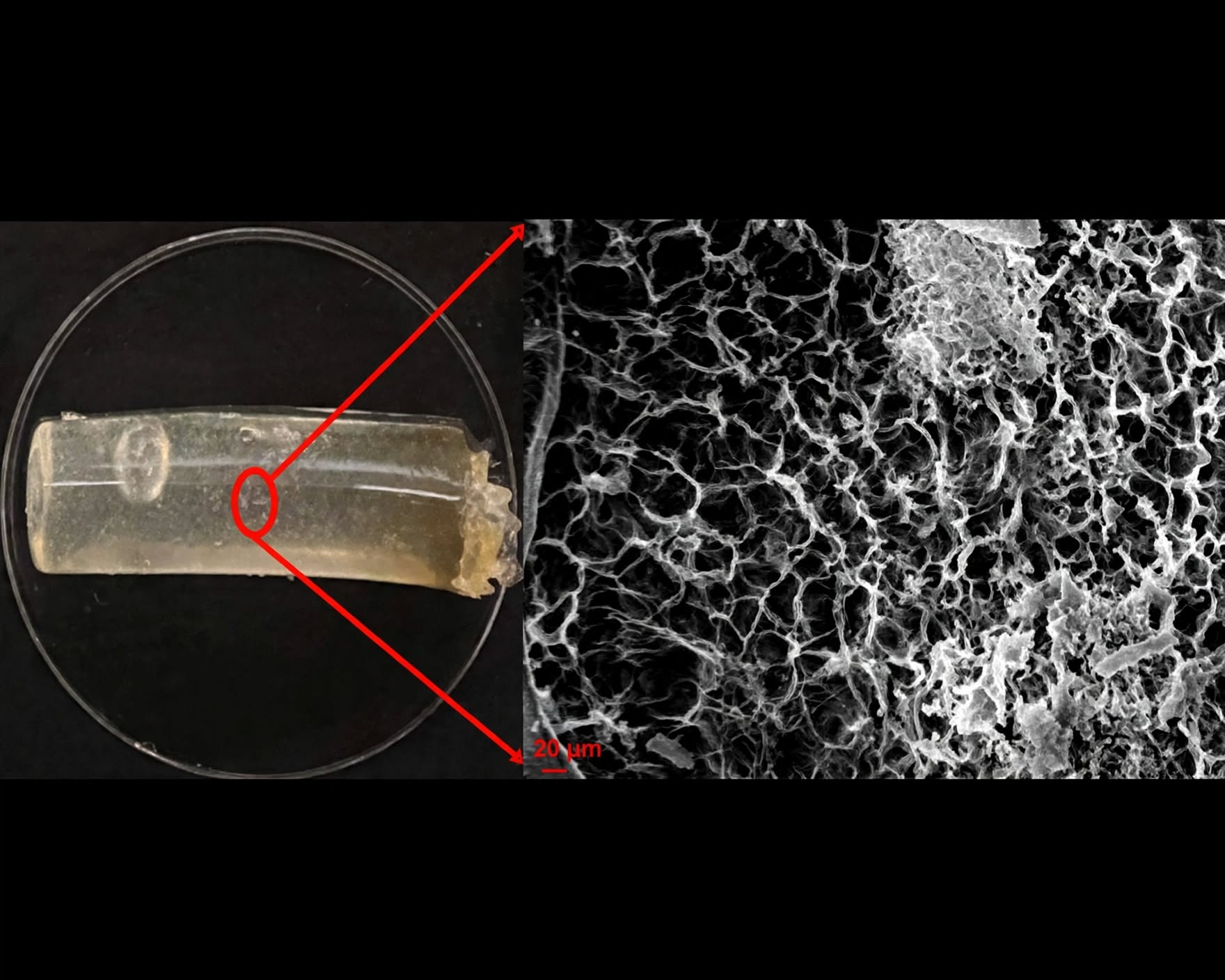 Shows a microscopic view of the particle gels